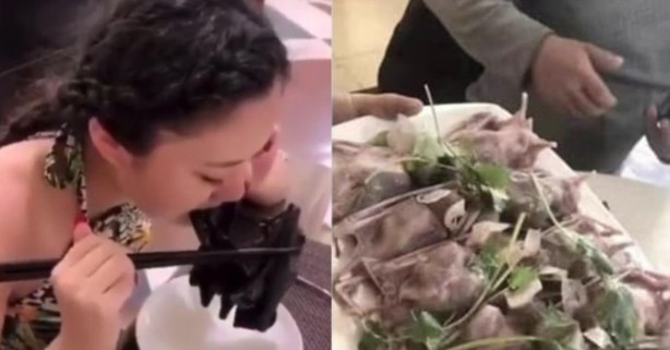 Foto - Bilimsel çalışmadan çarpıcı sonuçlar! Salgını yayan yarasalar değil