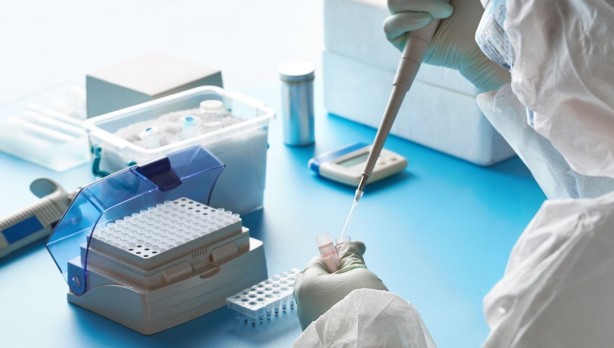 Foto - Bilimsel çalışmadan çarpıcı sonuçlar! Salgını yayan yarasalar değil