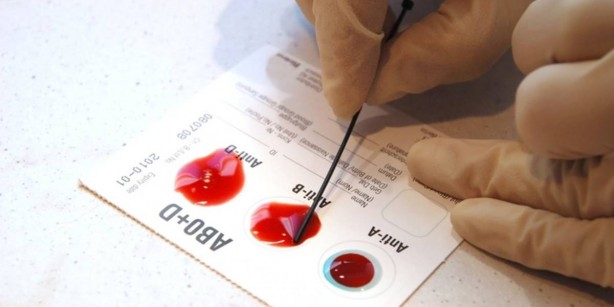 Foto - Bilimsel olarak kanıtlandı! Bu kan grubundaki kişiler yüksek IQ’ya sahip! İşte en zeki kan grupları