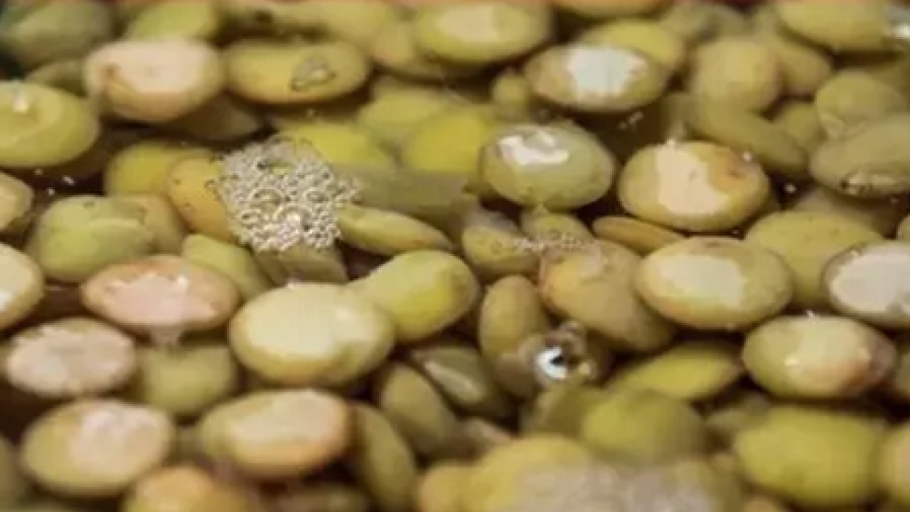 Foto - Bilinen en güçlü demir deposu! Her evde var: Kemikleri beton gibi yapıp kolesterolü atıyor! 