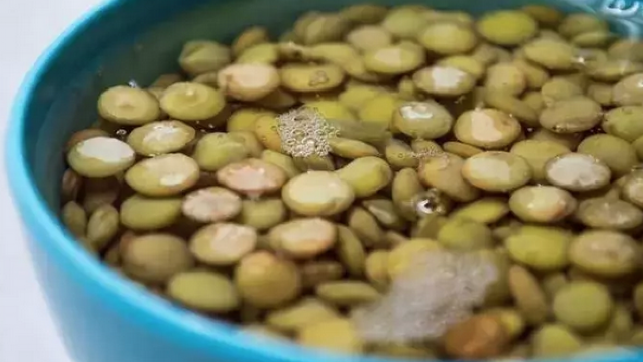Foto - Bilinen en güçlü kolajen deposu! Kemikleri beton gibi sağlamlaştırıyor, kolesterolü damardan silip atıyor!