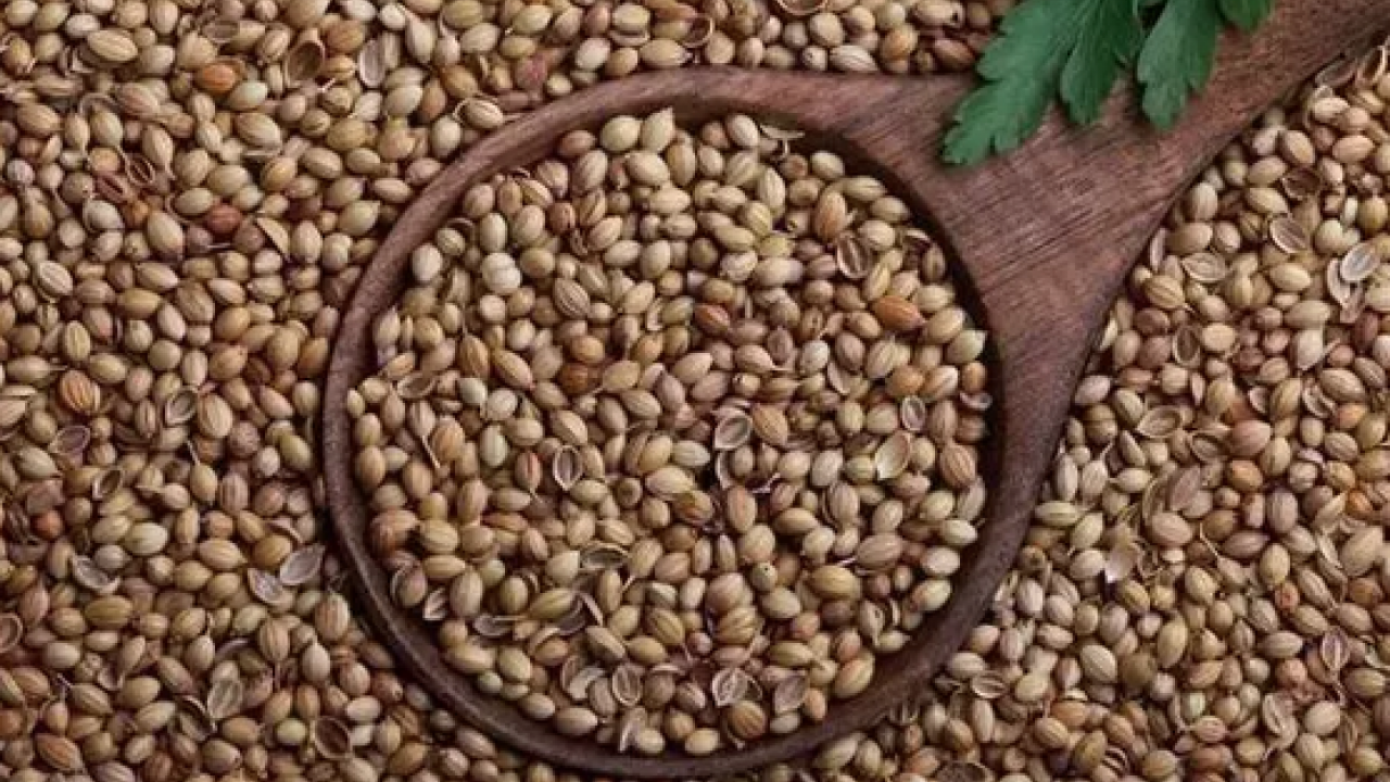 Foto - Bilinen en güçlü kolajen deposu! Kemikleri beton gibi sağlamlaştırıyor, kolesterolü damardan silip atıyor!