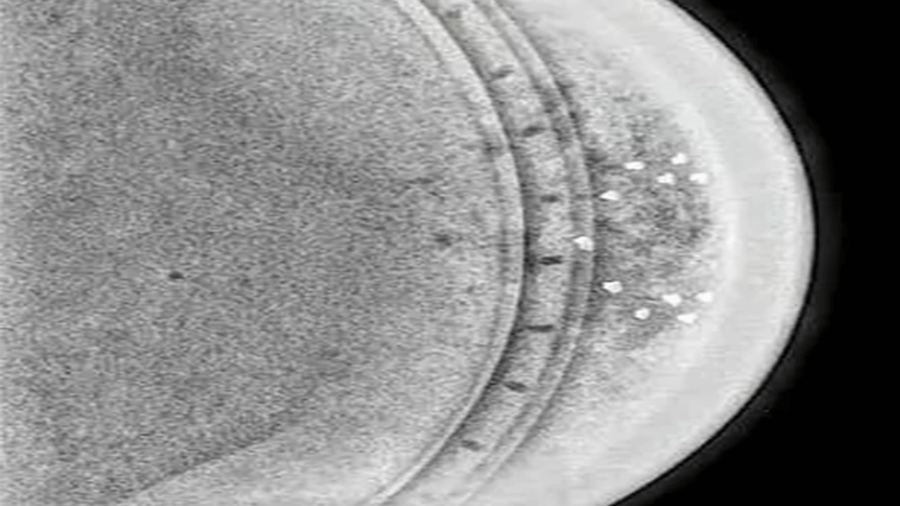 Foto - Bilinen hiçbir şeye benzemiyor! İlk kez dünya dışı teknoloji keşfedildi!