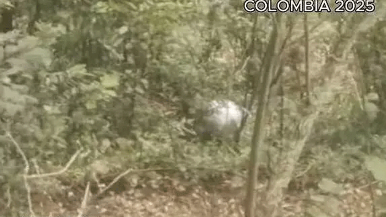 Foto - Bilinen hiçbir şeye benzemiyor! İlk kez dünya dışı teknoloji keşfedildi!