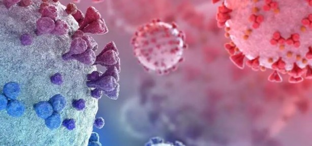 Foto - Bilinmeyen hastalık paniği! Biden'a mektup yazdılar