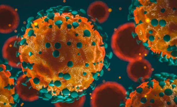 Foto - Bilinmeyen hastalık paniği! Biden'a mektup yazdılar