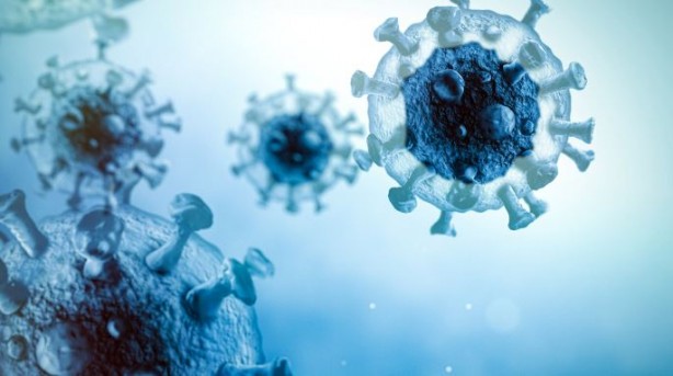 Foto - Bilinmeyen hastalık paniği! Biden'a mektup yazdılar