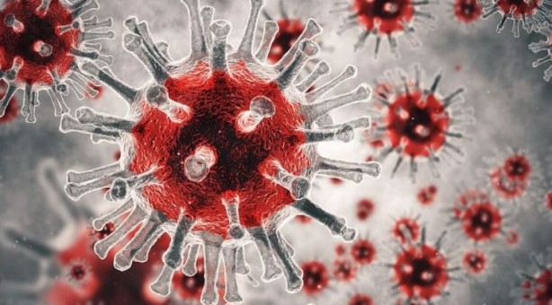 Foto - Bilinmeyen hastalık paniği! Biden'a mektup yazdılar