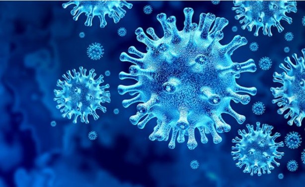 Foto - Bilinmeyen hastalık paniği! Biden'a mektup yazdılar