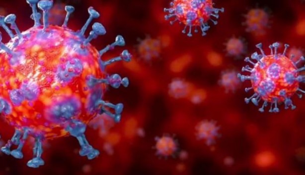 Foto - Bilinmeyen hastalık paniği! Biden'a mektup yazdılar