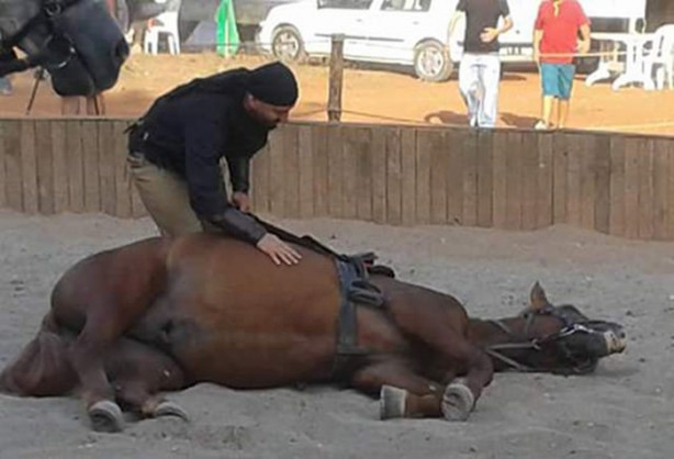 Foto - Bilinmeyenleriyle Diriliş'in Teo'su
