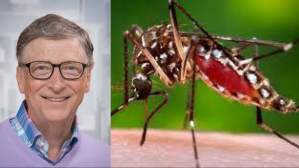 Foto - Bill Gates hepsini Türkiye'ye mi saldı? Gündemi altüst edecek gelişme