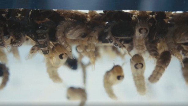 Foto - Bill Gates hepsini Türkiye'ye mi saldı? Gündemi altüst edecek gelişme