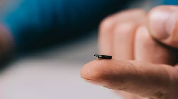 Foto - Bill Gates insanlara çip mi taktı? Komplo teorisi mi gerçek mi?