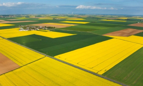 Foto - Bill Gates sessiz sedasız topluyordu! Türkiye'nin o bölgesinde parsel parsel arsa satılıyor