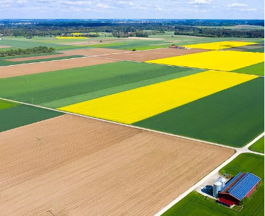 Foto - Bill Gates'in arazi topladığı Trakya'da sürpriz gelişme! Peynir ekmek gibi gitmeye başladı