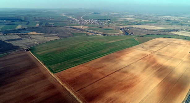 Foto - Bill Gates'in arazi topladığı Trakya'da sürpriz gelişme! Peynir ekmek gibi gitmeye başladı