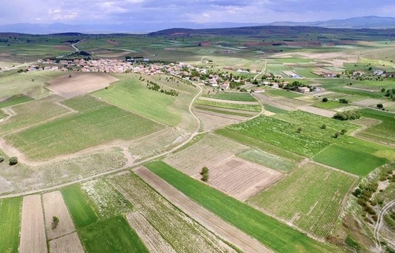 Foto - Bill Gates'in arazi topladığı Trakya'da sürpriz gelişme! Peynir ekmek gibi gitmeye başladı
