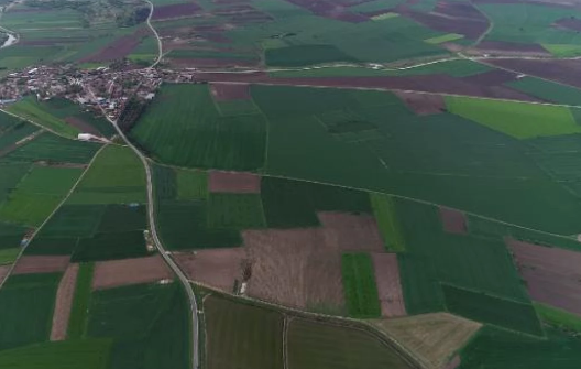 Foto - Bill Gates'in arazi topladığı Trakya'da sürpriz gelişme! Peynir ekmek gibi gitmeye başladı