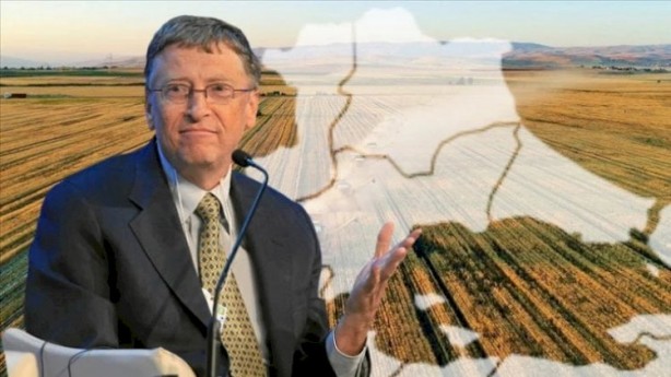 Bill Gates'in arazi topladığı Trakya'da sürpriz gelişme! Peynir ekmek gibi gitmeye başladı