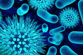 Foto - Bill Gates'le eşi Türkiye'de harekete geçince ünlü yazar uyardı: Devletimize sesleniyorum, sakın yapmasınlar sakın