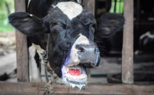 Foto - Bill Gates'le eşi Türkiye'de harekete geçince ünlü yazar uyardı: Devletimize sesleniyorum, sakın yapmasınlar sakın