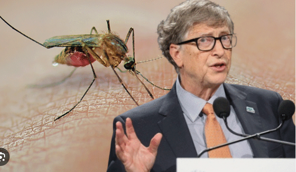 Foto - Bill Gates'ten dehşete düşüren proje! Milyonlarca sivrisineği sokaklara bıraktı, herkes kendine dikkat etsin