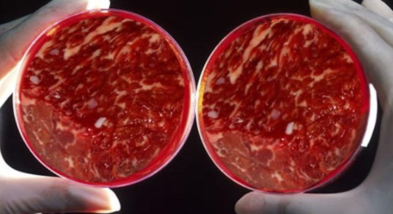 Bill Gates'ten sinsi plan! Yapay et pompalanmaya başladı