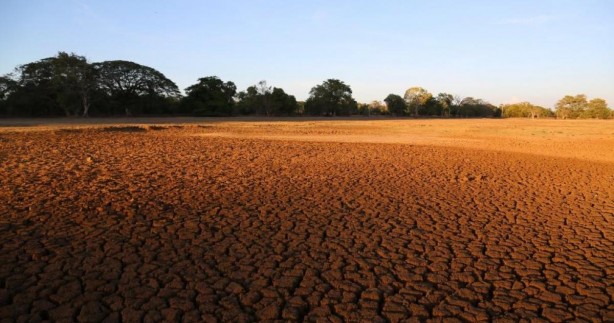 Foto - Bill Gates'ten sinsi Türkiye adımı! O ilimizde gizli elleri devreye sokup tarım arazisi toplamaya başladı