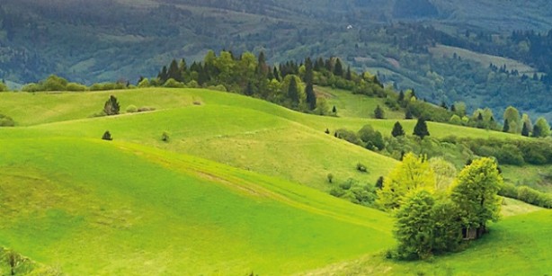 Foto - Bill Gates'ten sinsi Türkiye adımı! O ilimizde gizli elleri devreye sokup tarım arazisi toplamaya başladı