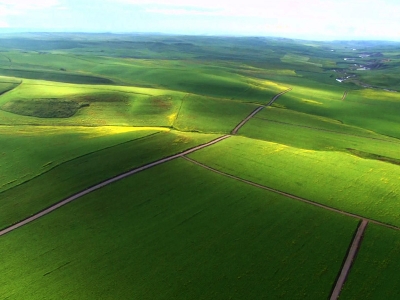 Foto - Bill Gates'ten sinsi Türkiye adımı! O ilimizde gizli elleri devreye sokup tarım arazisi toplamaya başladı