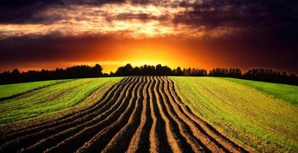 Foto - Bill Gates'ten sinsi Türkiye adımı! O ilimizde gizli elleri devreye sokup tarım arazisi toplamaya başladı