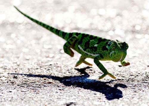 Foto - Duymadığınız şaşırtıcı gerçekler