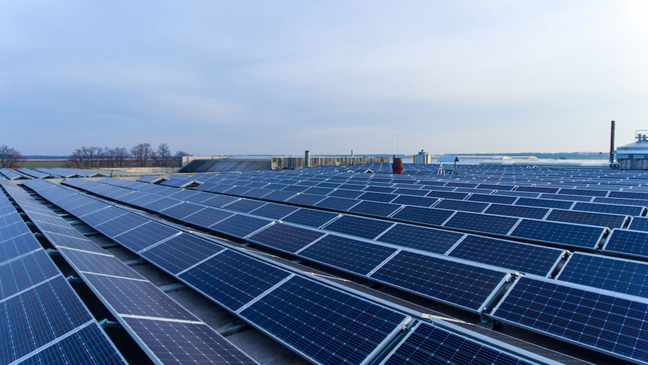 Foto - BİM'den ses getirecek hamle! Antalya, Urfa, Erzurum ve İstanbul'a kuruluyor, bu kez market değil