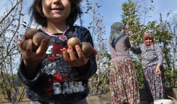 Foto - Bin derde bin deva! Yumuşasın diye depolarda bekletiliyordu, pazara inmesiyle kapış kapış sattı: Kilosu 25 TL'den tezgahta bir tane kalmıyor