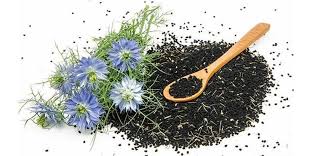 Foto - Binbir derde deva olan çörek otunun faydaları: Öyle bir şey ki, böyle şifa görülmedi! Çoğu kişi kullanıyor