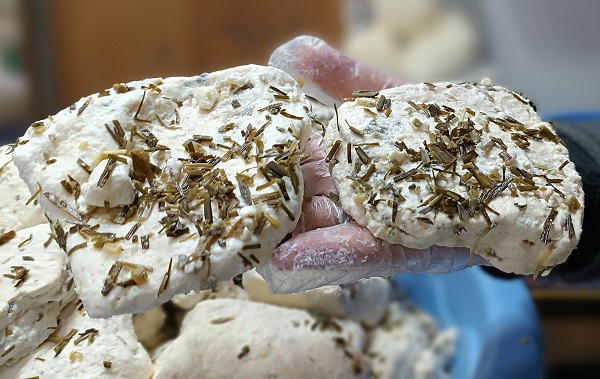 Foto - Binbir zahmetle hazırlanıyor! İşte o meşhur peynir