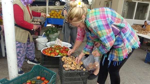 Foto - Binbir zahmetle toplanıyor! Kilosu 150 TL