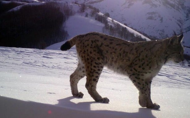Foto - Bingöl'de nefes kesen görüntüler