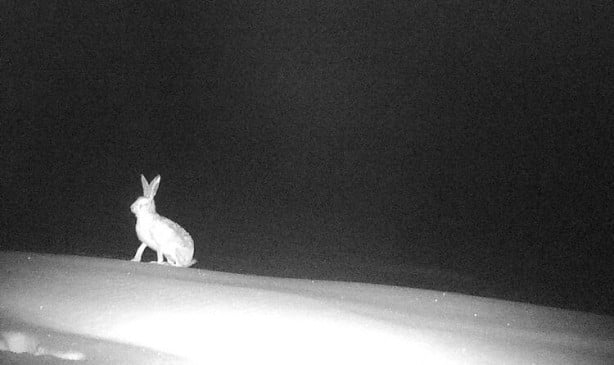 Foto - Bingöl'de nefes kesen görüntüler