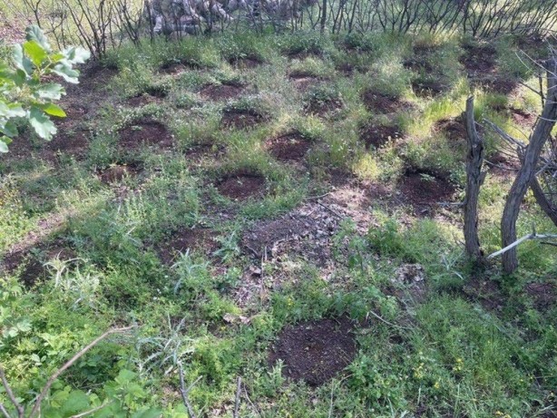 Foto - Bingöl’de PKK'ya operasyon! İşte ele geçirilenler