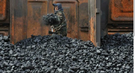 Foto - Bingöl'de tarihi keşif! Tonlarcası Servi bölgede bulundu