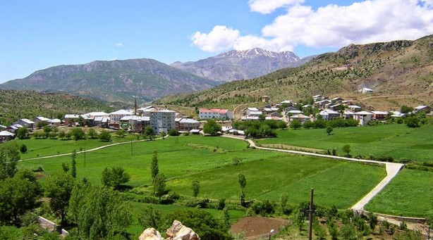 Foto - Bingöl'de tarihi keşif! Tonlarcası Servi bölgede bulundu