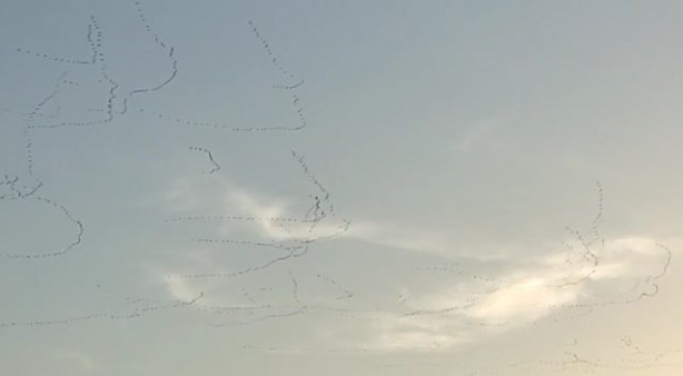 Foto - Binlerce ak pelikan Bursa semalarında görsel şölen oluşturdu