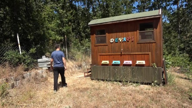 Foto - Binlerce arının üzerine yatan, daha dinç kalkıyor