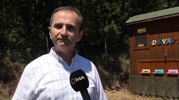 Foto - Binlerce arının üzerine yatan, daha dinç kalkıyor