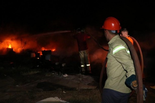 Foto - Binlerce arıyı yanmaktan kurtardı
