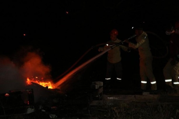Foto - Binlerce arıyı yanmaktan kurtardı