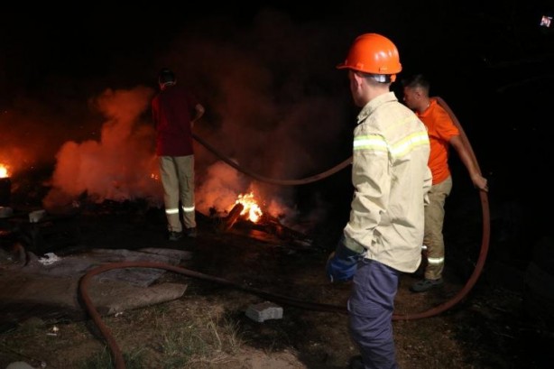 Foto - Binlerce arıyı yanmaktan kurtardı