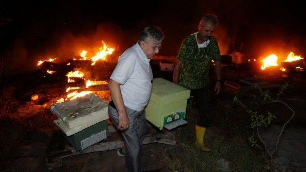Foto - Binlerce arıyı yanmaktan kurtardı